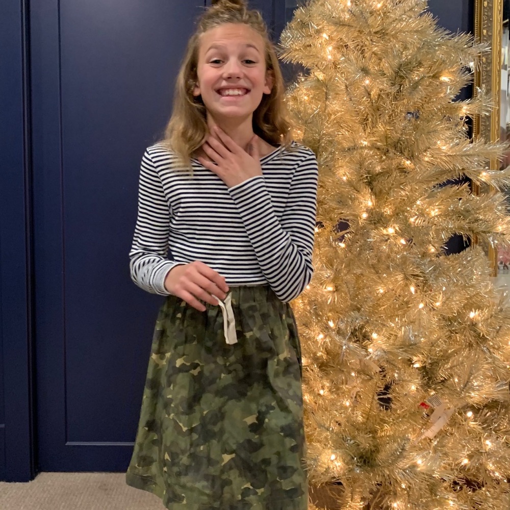 Crewcuts dress